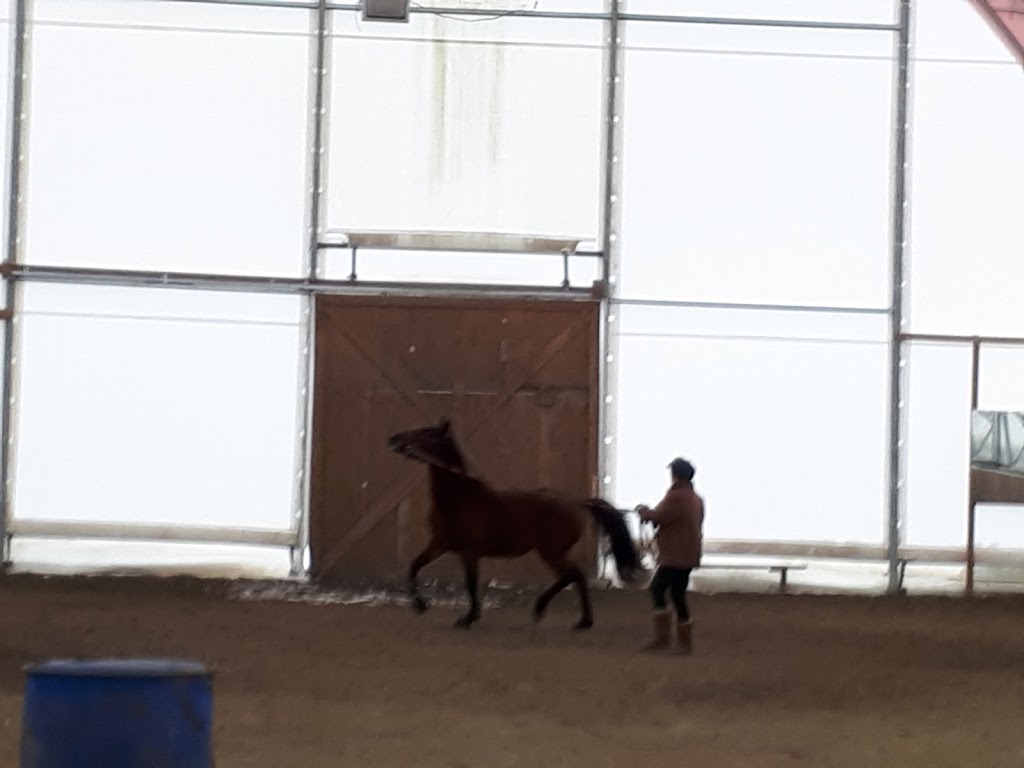 Ferme Brio | 455 Chemin du Petit Brompton, Racine, QC J0E 1Y0, Canada | Phone: (819) 679-3433