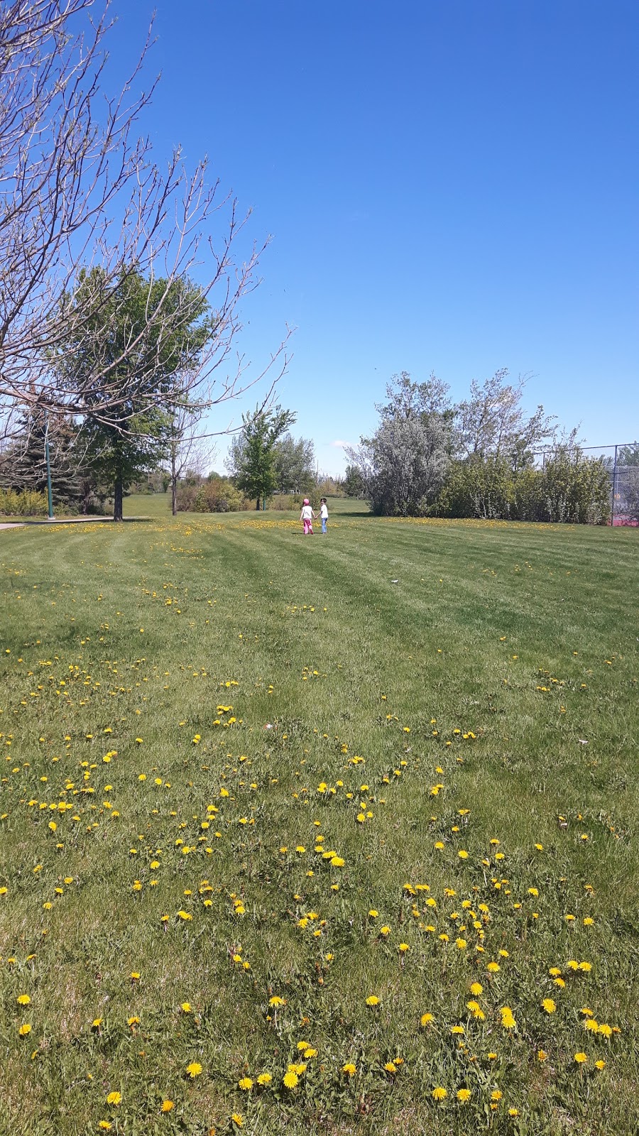 Forest Park | 215 Nelson Rd, Saskatoon, SK S7S 1H1, Canada | Phone: (306) 975-3200