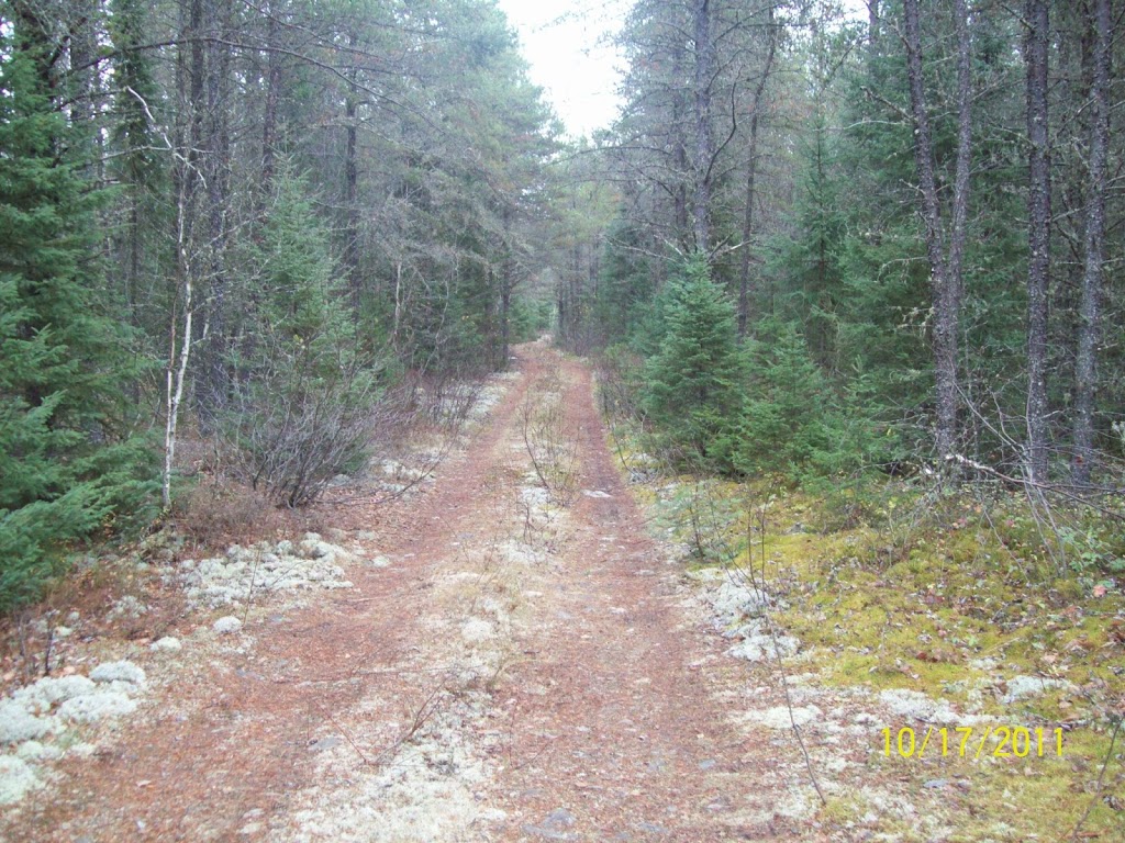 Wilderness Survival Training | 636 Confederation St, Sarnia, ON N7T 2C7, Canada | Phone: (226) 932-1437