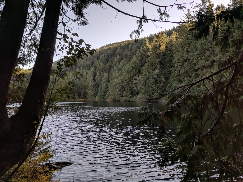 Chadsey Lake | park | Fraser Valley H, BC V3G, Canada