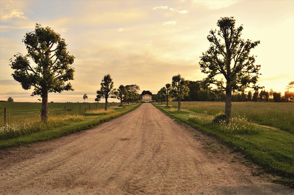 Ancient Burials - Funerals, Memorials & Preplanning | 2981 272 St, Aldergrove, BC V4W 3R3, Canada | Phone: (604) 308-2822