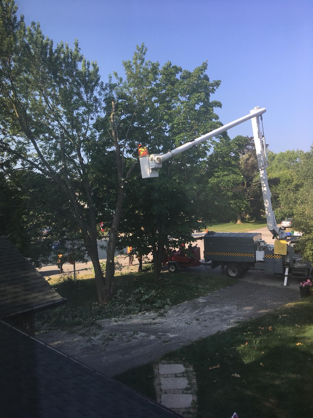 Arbor Tech Tree Care | 2360 Brock St, Manilla, ON K0M 2J0, Canada | Phone: (800) 327-3653