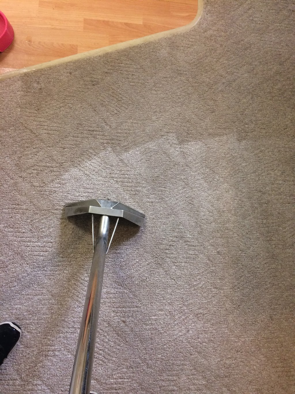 Kootenay Carpet Cleaning (+ Upholstery & Vehicle) | 208 Kimbrook Crescent, Kimberley, BC V1A 3A7, Canada | Phone: (250) 581-1560