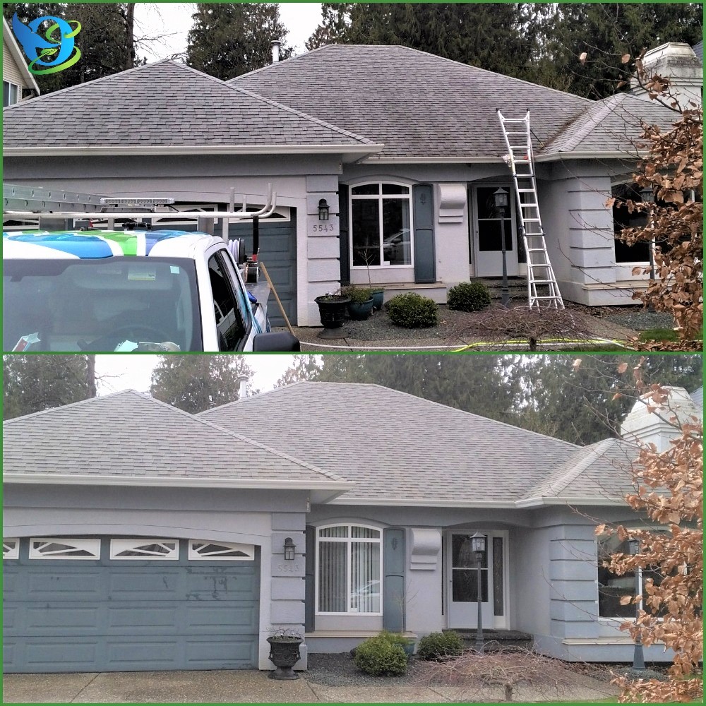 Ocean SoftWash Ltd - Roof & Exterior Cleaning | 46197 Fourth Ave Unit 3, Chilliwack, BC V2P 1N3, Canada | Phone: (604) 670-6660