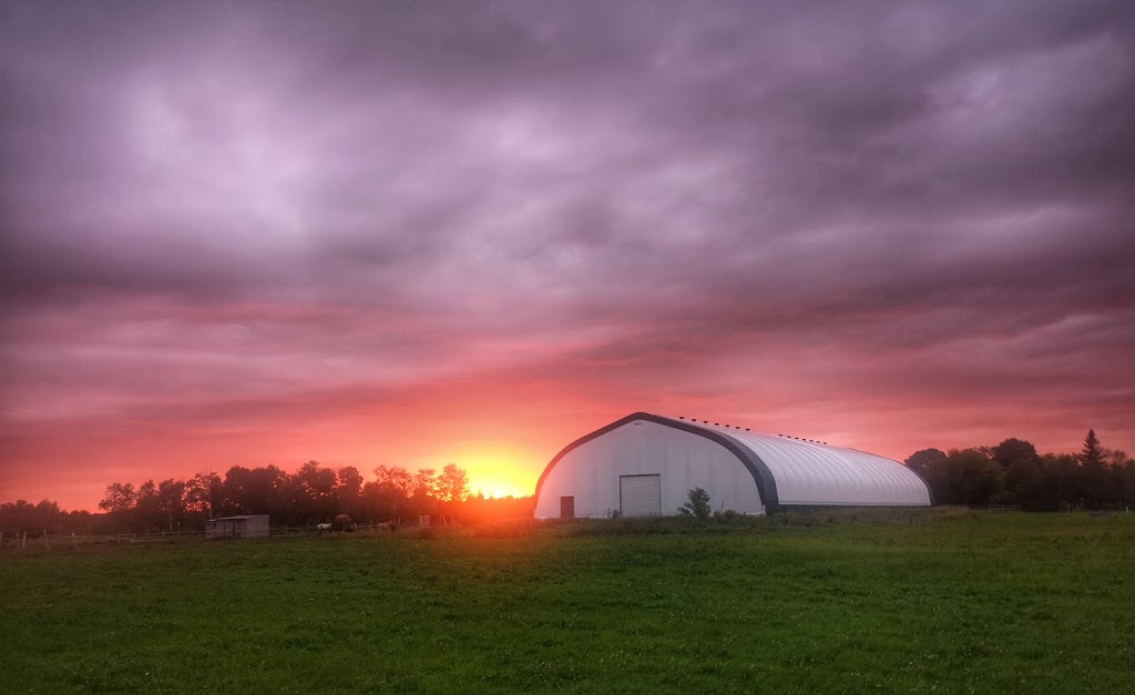 Lilac Lane Equestrian | 2464 Munster Rd, Stittsville, ON K2S 1B8, Canada | Phone: (613) 262-9206