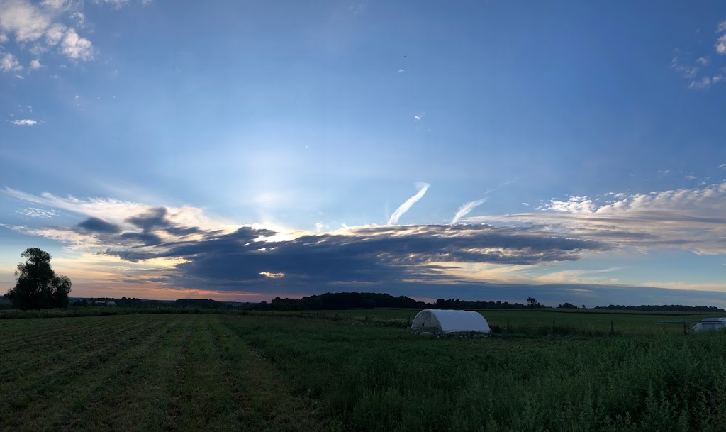 WindRose Farm | 516134 11 Line, Tavistock, ON N0B 2R0, Canada | Phone: (519) 533-7556