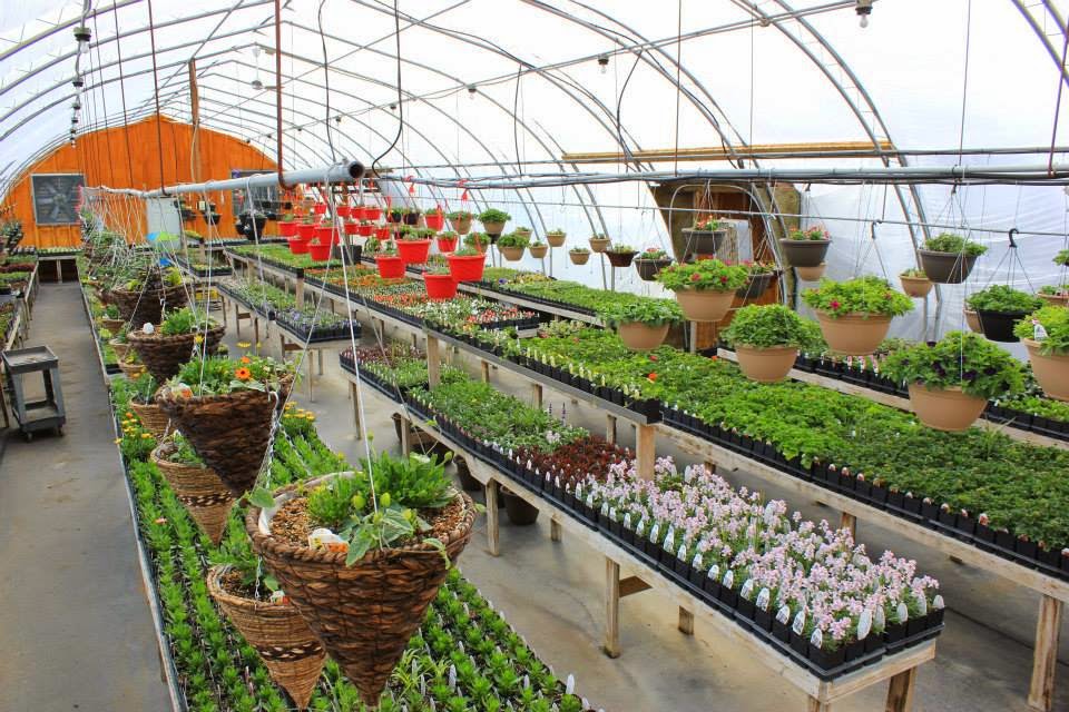 Rainbow Mill Gardens | Mill Rd, Anola, MB R0E 0A0, Canada | Phone: (204) 866-3000