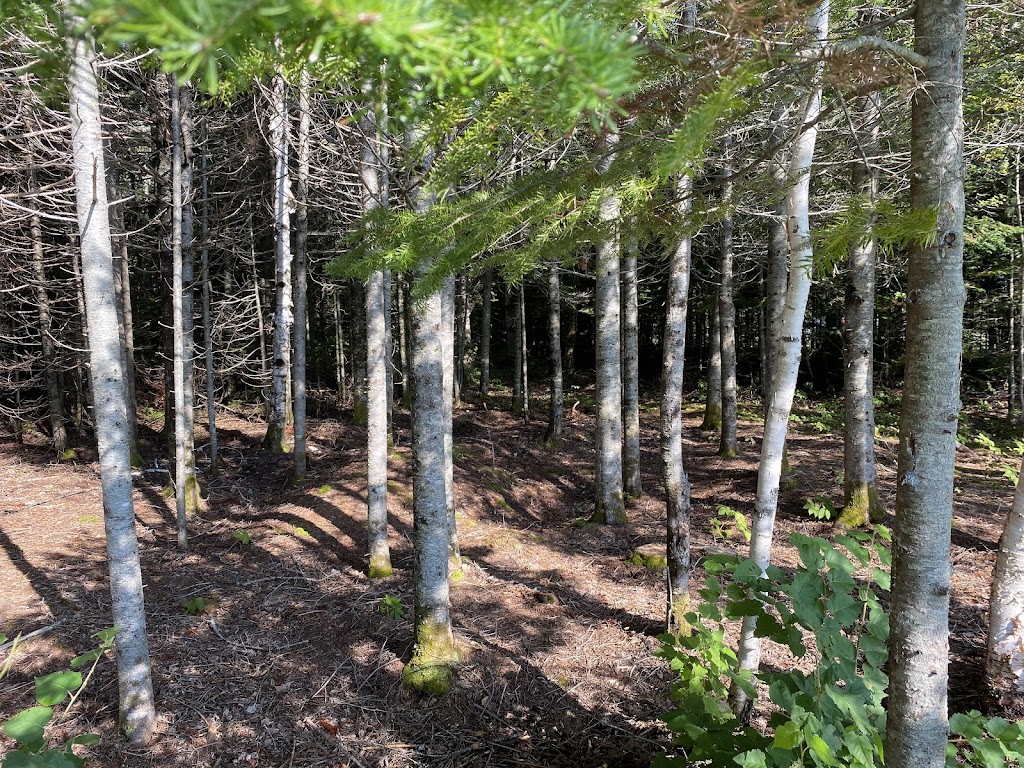 Ocean River RV Resort | 119 J McKenzie Rd, Tabusintac, NB E9H 2B8, Canada | Phone: (855) 550-1558