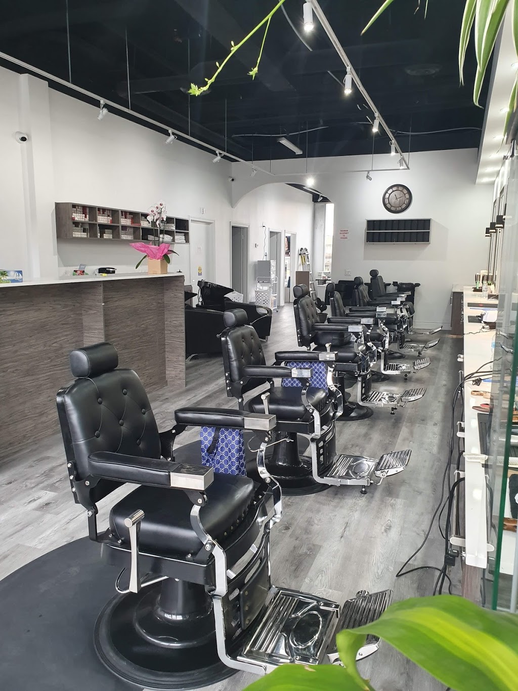 King &Queen Barber and beauty salon | 50 Sky Harbour Dr unit 2, Brampton, ON L6Y 6G9, Canada | Phone: (905) 230-6868