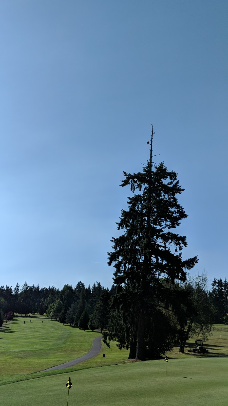 Cowichan Golf Club | 4955 Trans-Canada Hwy, Duncan, BC V9L 3X1, Canada | Phone: (250) 746-5333