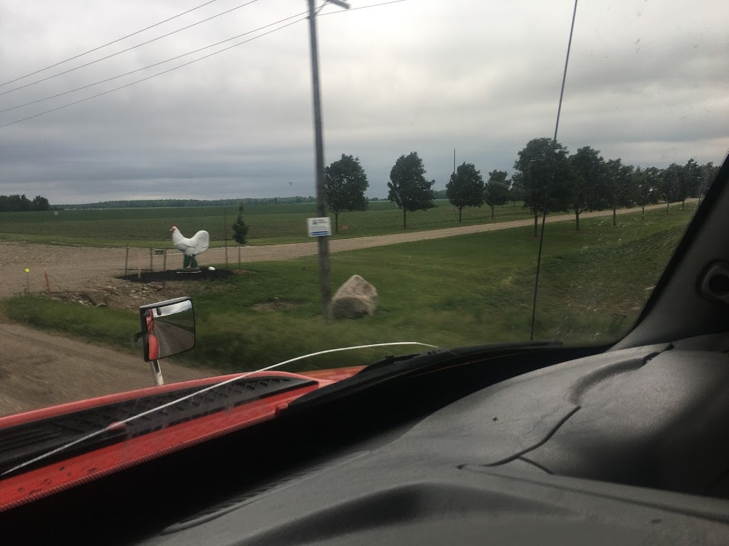 Outback Tree Farm | 5290 Perth County Line 86, Listowel, ON N4W 3G8, Canada | Phone: (519) 291-4754
