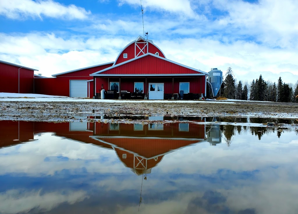 Rock Ridge Dairy | Unnamed Road, Bentley, AB T0C 0J0, Canada | Phone: (403) 783-4312