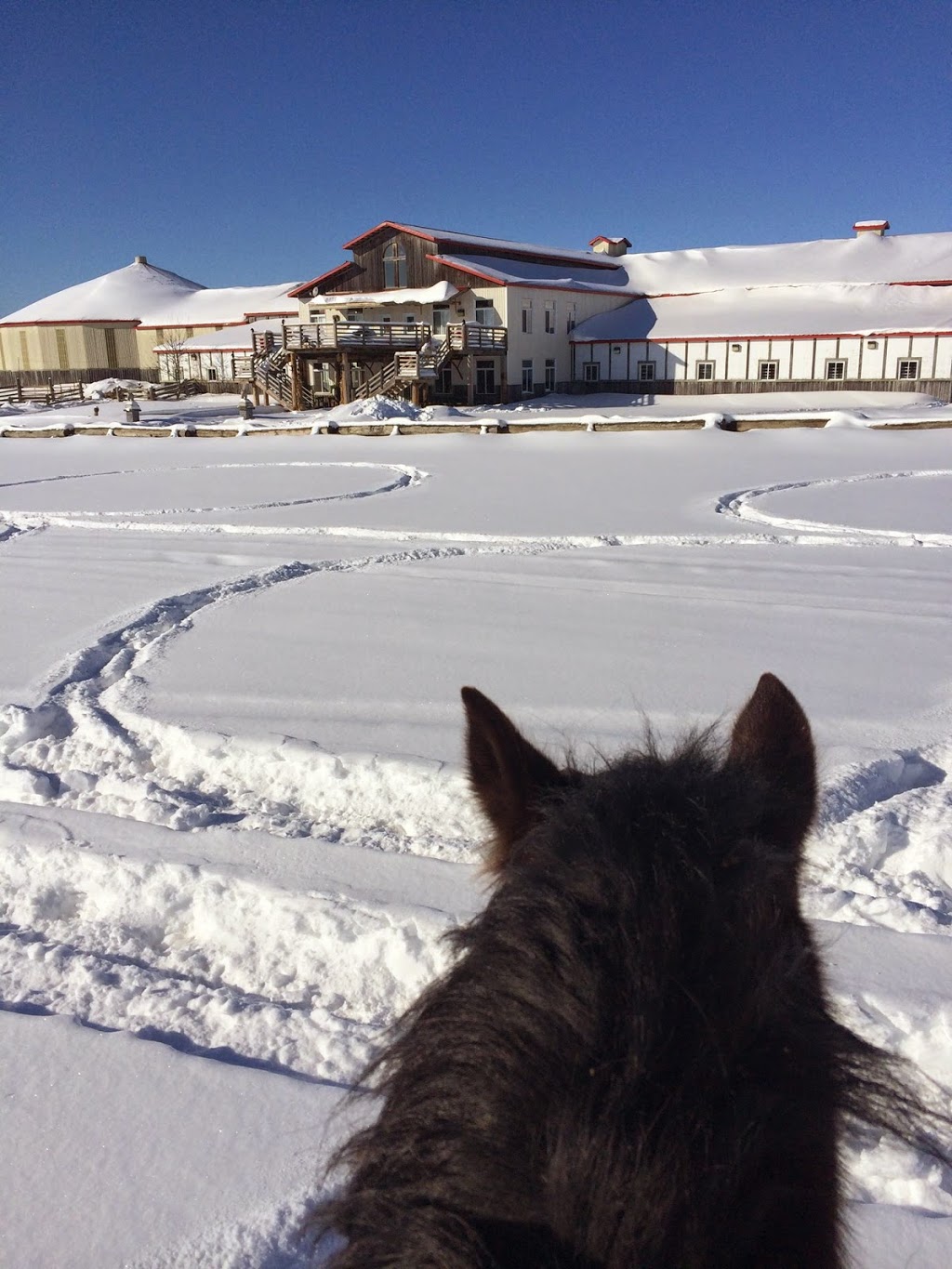 KL Equine | 104 Chemin Mclinton, Wakefield, QC J0X 3G0, Canada | Phone: (873) 353-0960