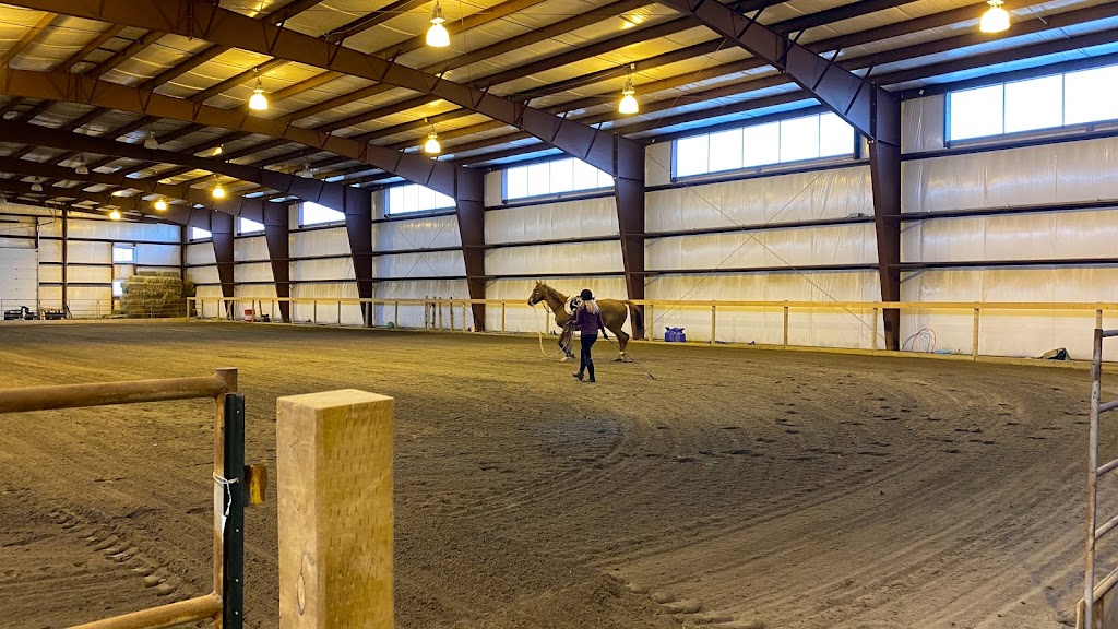 Wildflower Riding Club | 275064 Range Rd 33, Alberta T0M 1L0, Canada | Phone: (587) 777-9161