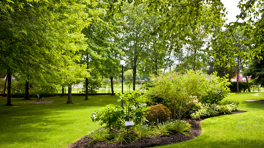 BELAMEX | 641 Des 30 Rang, Saint-Marc-sur-Richelieu, QC J0L 2E0, Canada | Phone: (450) 584-3343