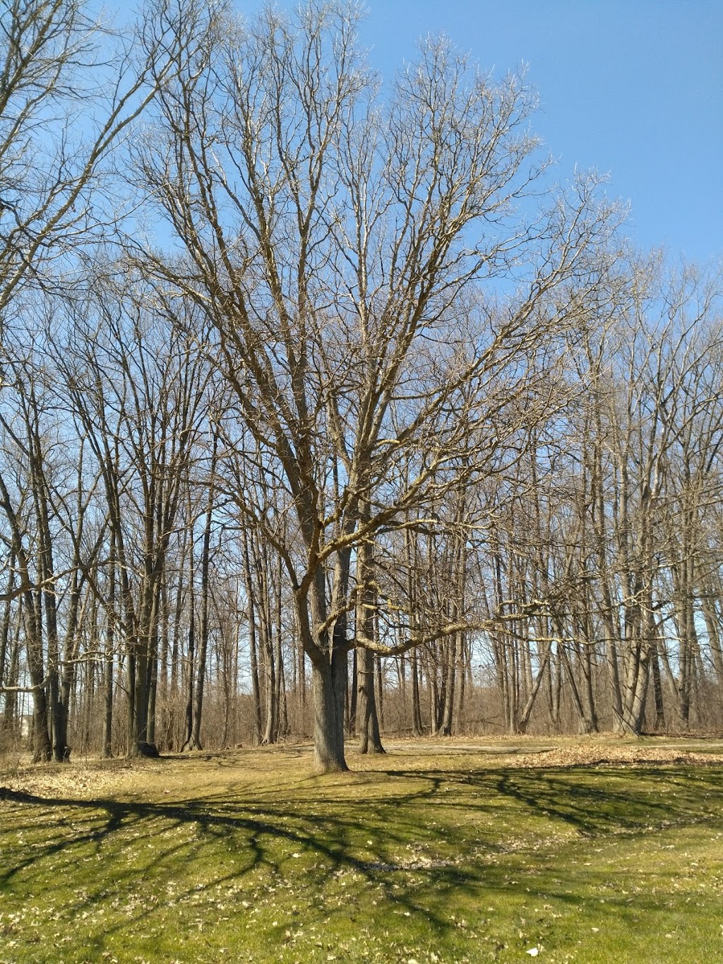 John N Allan Park | 6980 Kalar Rd, Niagara Falls, ON L2H 2T7, Canada | Phone: (905) 356-7521