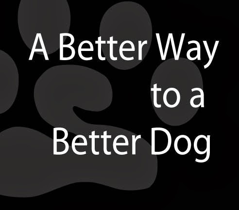 Bark Busters In Home Dog Training - Montreal | 615 Av. Clarke, Westmount, QC H3Y 3E5, Canada | Phone: (514) 592-1222