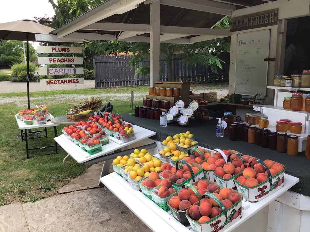 Fruit-Stand-on-Mountain | 6680 Mountain Rd, Niagara Falls, ON L2J 0B5, Canada | Phone: (905) 374-6342