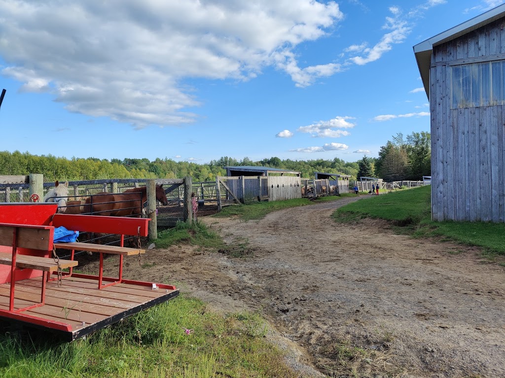 Centre Équestre St-Roch.. | 365 Rang de la Rivière N, Saint-Roch-de-lAchigan, QC J0K 3H0, Canada | Phone: (514) 265-3908