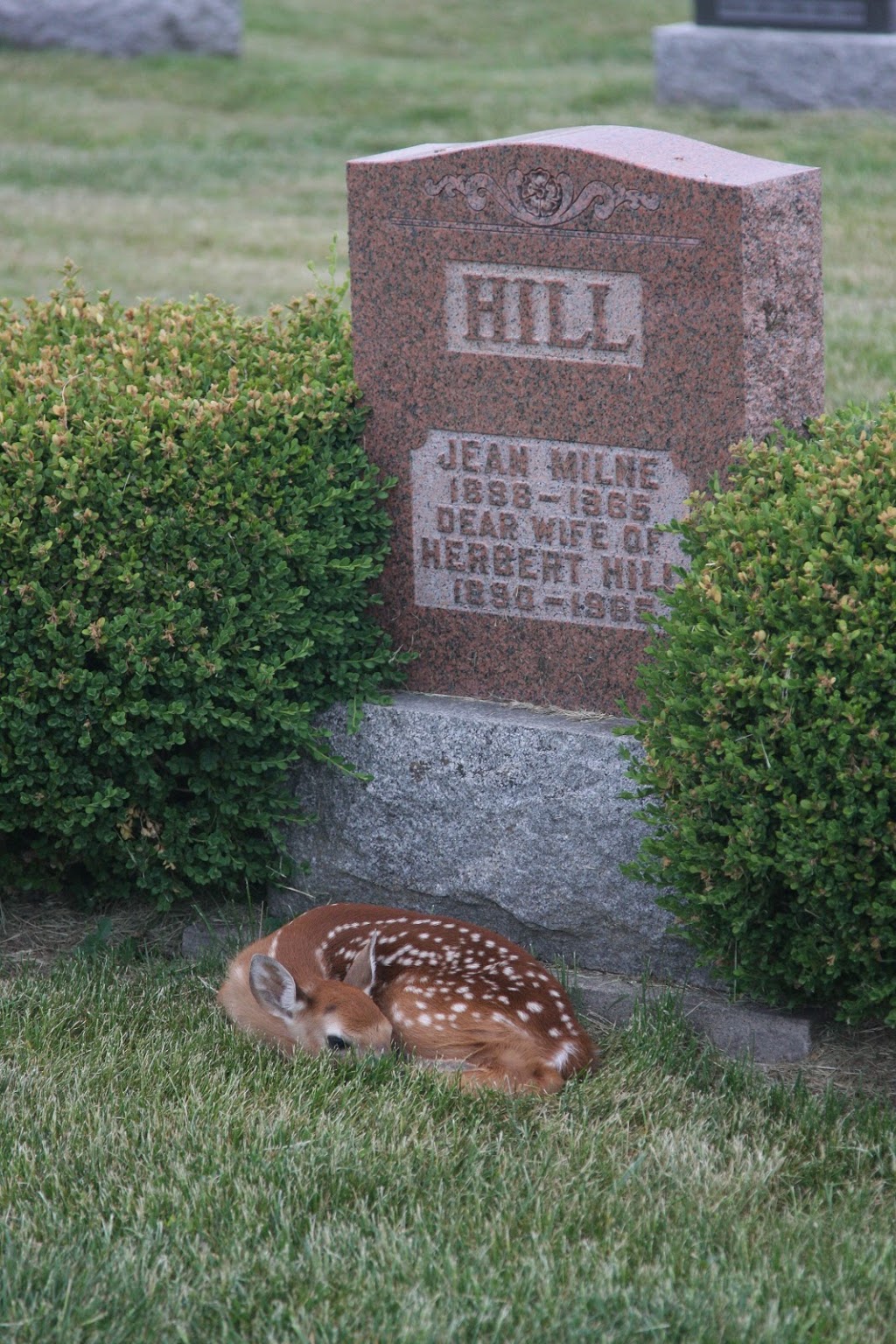 Glen Williams Cemetery | 23 Prince St, Georgetown, ON L7G 2X1, Canada