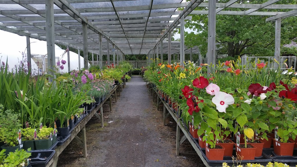 Pioneer Nursery | 632 Van Buren St, Kemptville, ON K0G 1J0, Canada | Phone: (613) 258-5555