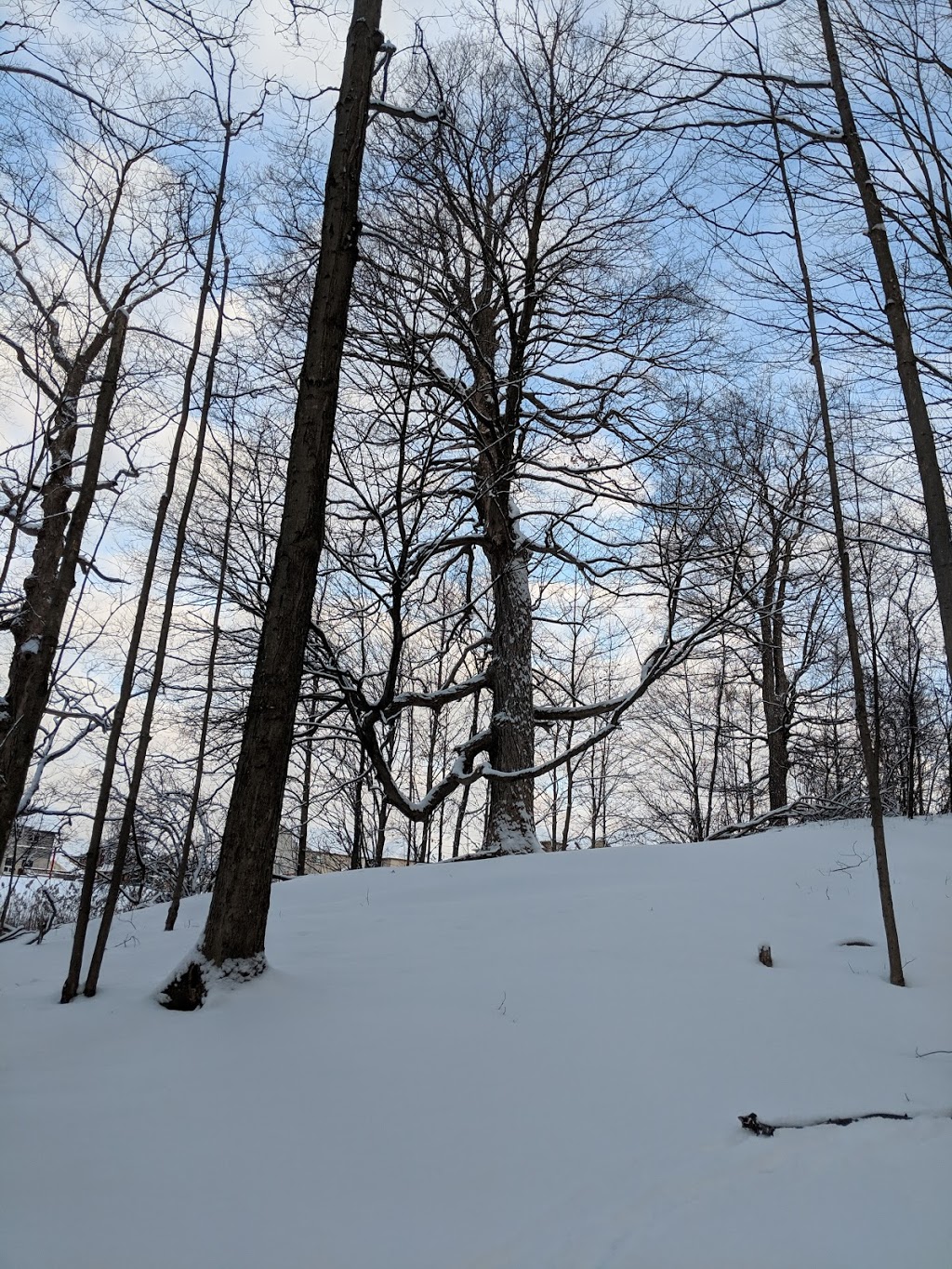 Beaverbrook Woods | 780 Oakcrossing Rd, London, ON N6H 5V9, Canada