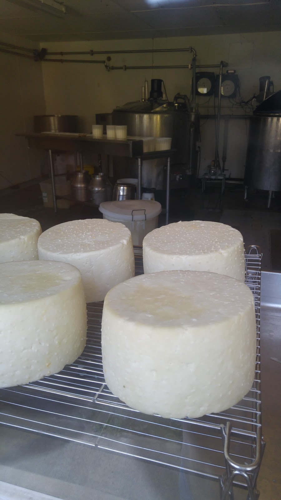 Goats Pride Dairy | 30854 Olund Rd, Abbotsford, BC V4X 1Z9, Canada | Phone: (604) 854-6261