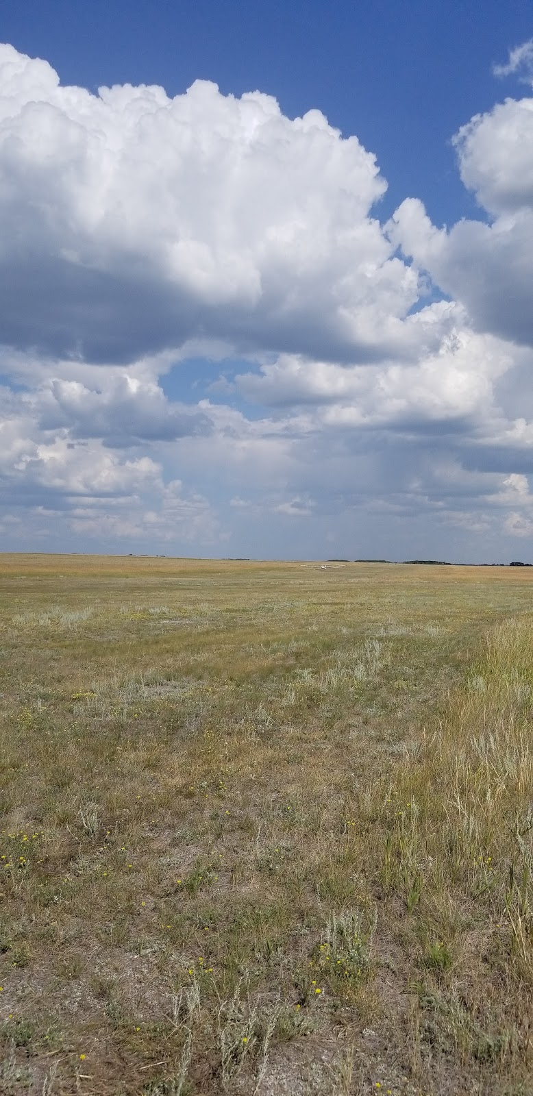 Regina Gliding and Soaring Club | Francis No. 127, SK S0G 3S0, Canada | Phone: (306) 536-4119