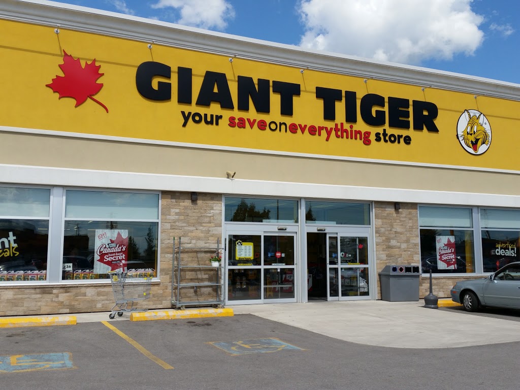 giant-tiger-936-edward-st-n-prescott-on-k0e-1t0-canada