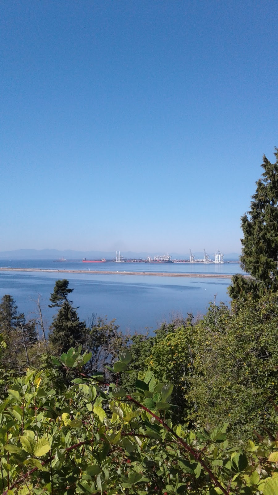 Village Park | 4727 Wesley Dr, Delta, BC V4M, Canada