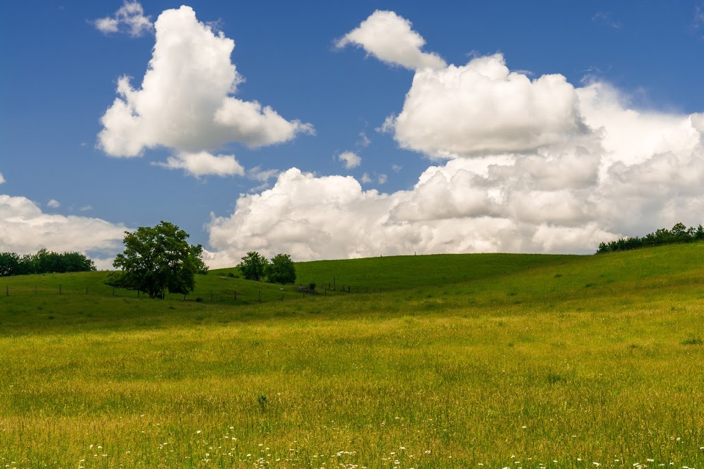 The Gut Conservation Area | 2399 The South Rd, Coe Hill, ON K0L 1P0, Canada | Phone: (613) 472-3137