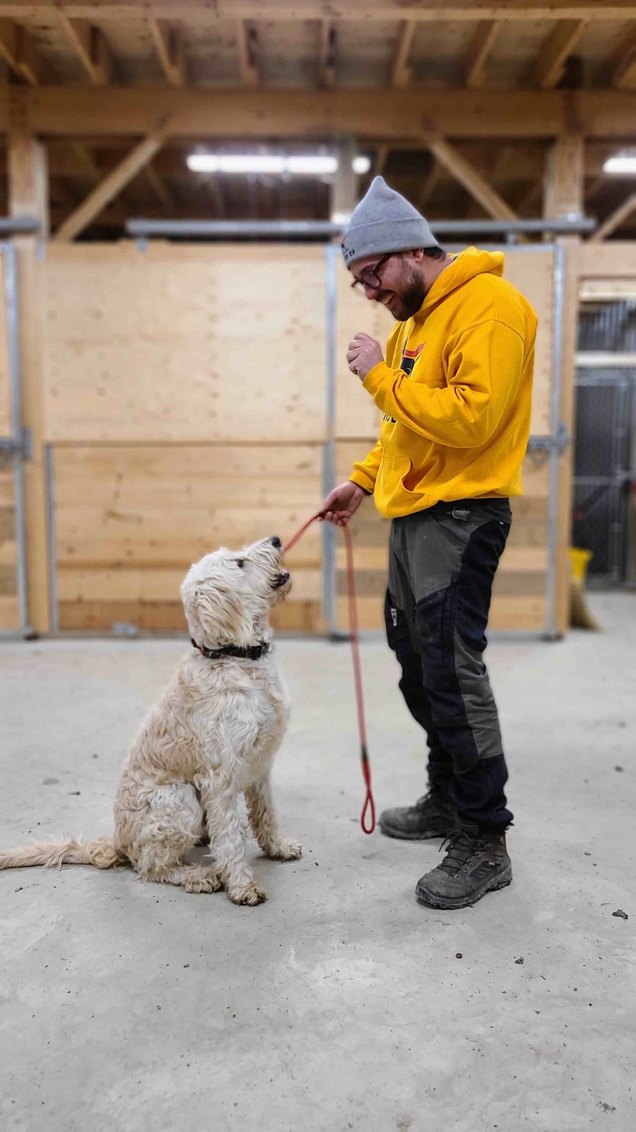 Wunder K9 | 384169, Side Rd 20, Laurel, ON L0N 1L0, Canada | Phone: (905) 869-7129