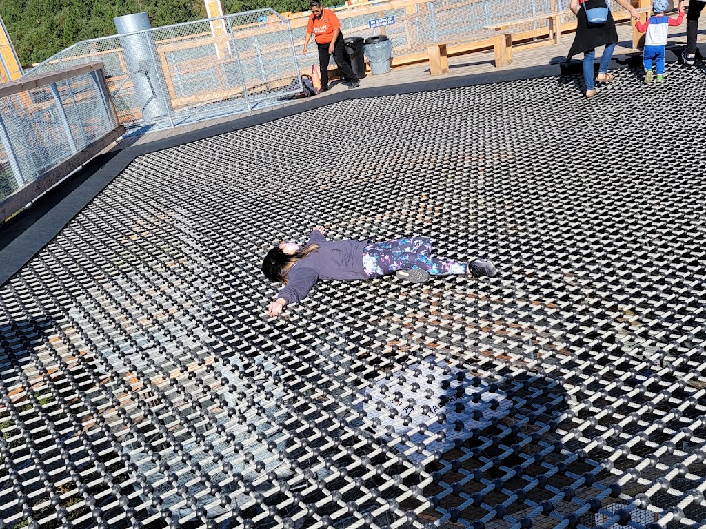 Malahat SkyWalk | 901 Trans-Canada Hwy, Malahat, BC V0R 2L0, Canada | Phone: (833) 625-2428