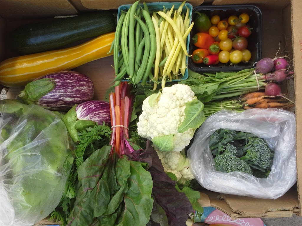 Forefathers Farm | 205 Buttermilk Hill Rd, Perth, ON K7H 3C3, Canada | Phone: (613) 227-6804