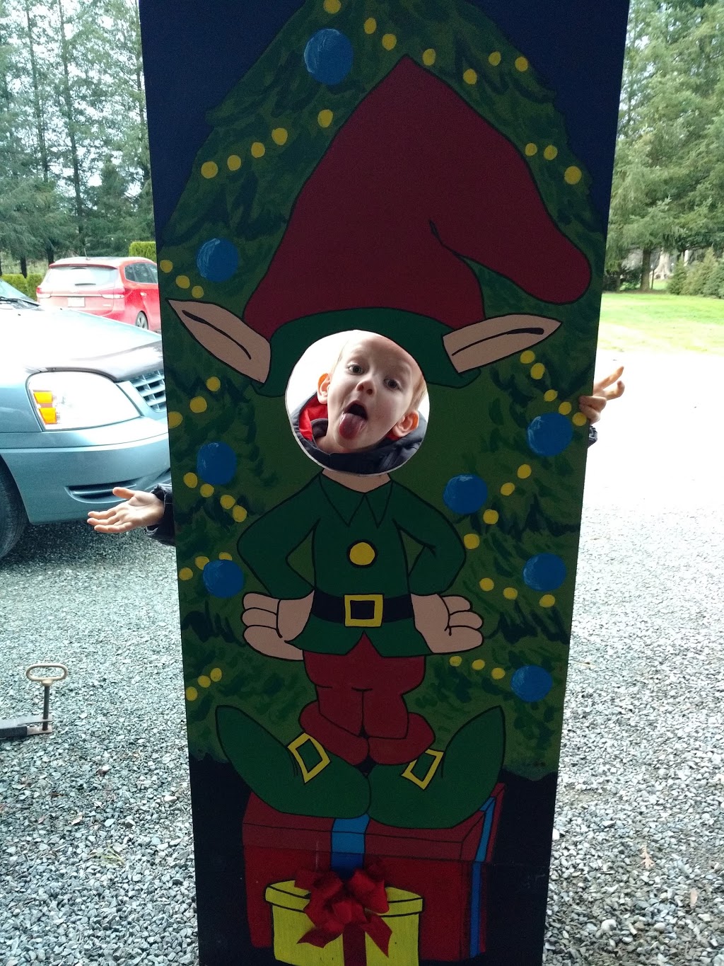 Churchland Christmas Tree Farm | 4726 248 St, Aldergrove, BC V4W 1B6, Canada | Phone: (604) 996-1046