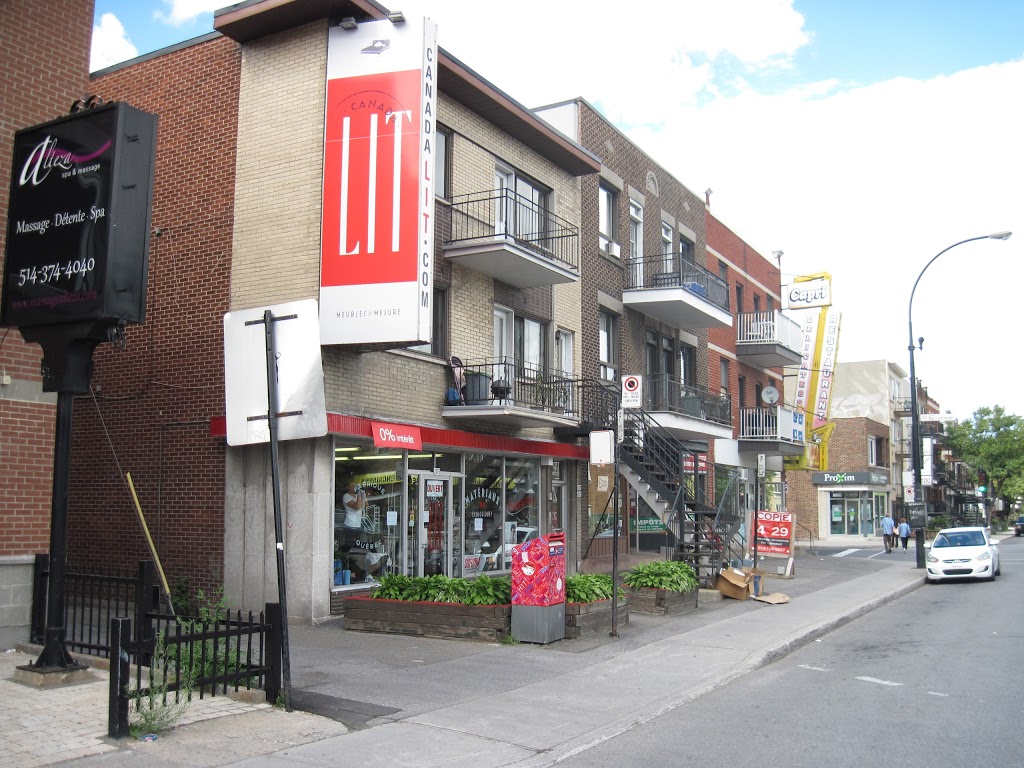 Canada Lit | Canada, 2025 Rosemont Blvd, Montreal, QC H2G 1T2, Canada | Phone: (438) 383-6333