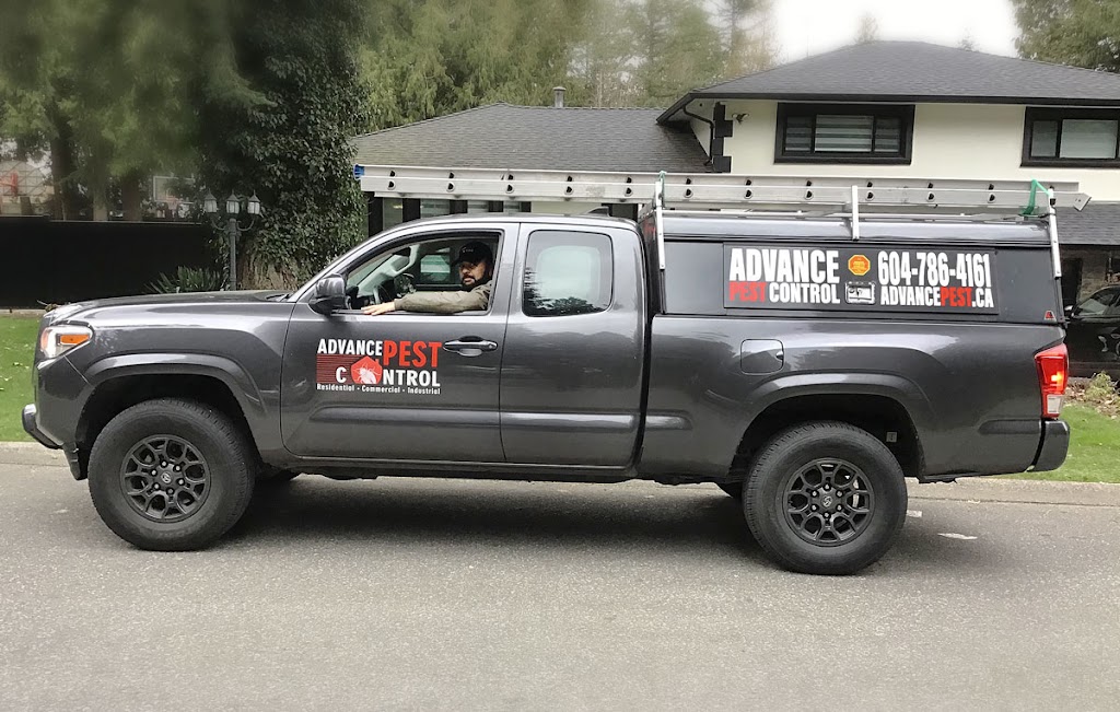 Advance Pest Control Surrey/Langley | 15299 68 Ave #203, Surrey, BC V3S 2C1, Canada | Phone: (604) 786-4161