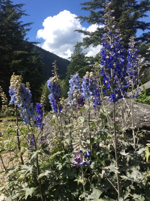 Haylmore Heritage Site | Haylmore Ln, Gold Bridge, BC V0K 1P0, Canada | Phone: (250) 238-2534