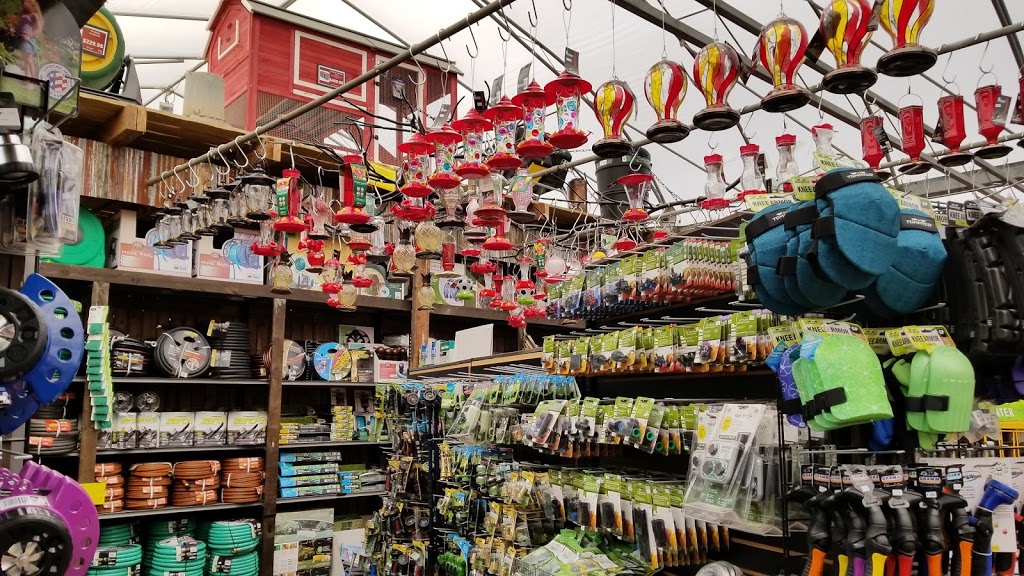 Cedar Rim Nursery Ltd | 7024 Glover Rd, Langley Twp, BC V2Y 2R1, Canada | Phone: (604) 888-4491