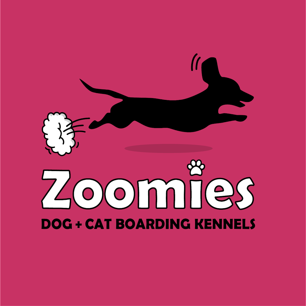 Zoomies | 2202 Herd Rd, Duncan, BC V9L 6A6, Canada | Phone: (250) 748-0143