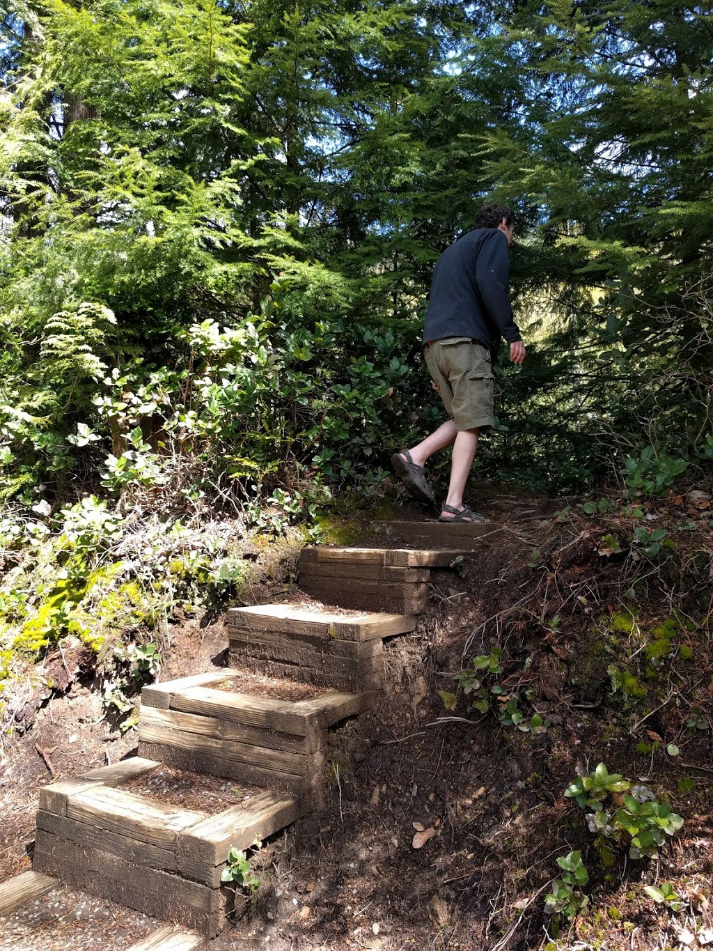 Squires Lake Trail Parking | 170 Old Hwy 99 N, Bellingham, WA 98229, USA