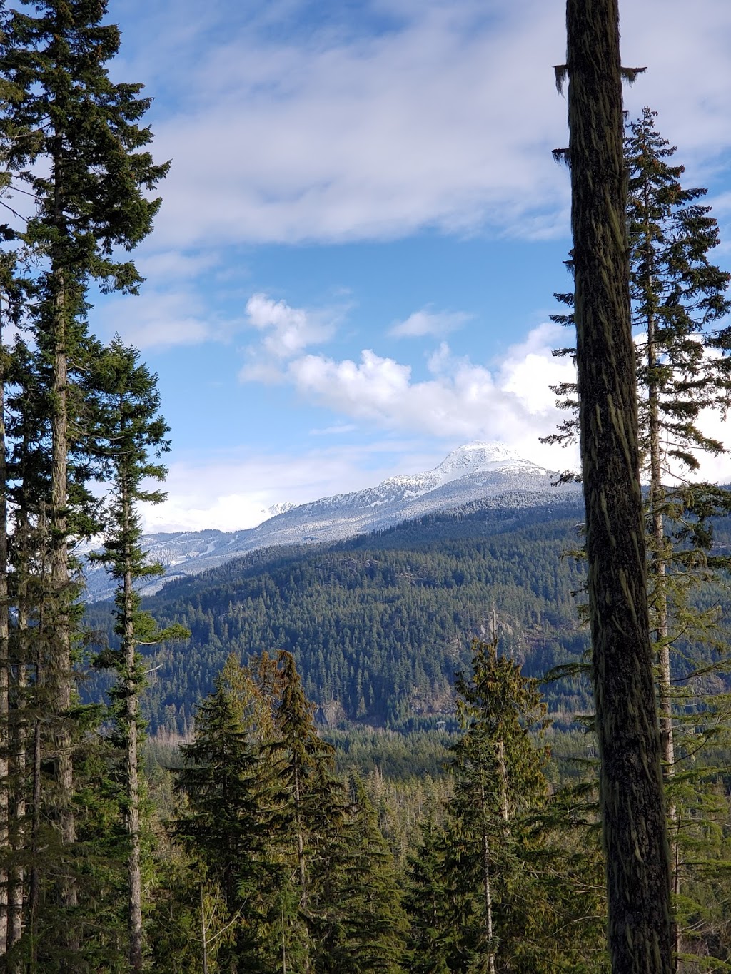Whistler RV Park and Campgrounds | 55 BC-99, Whistler, BC V0N 1B1, Canada | Phone: (604) 905-2523