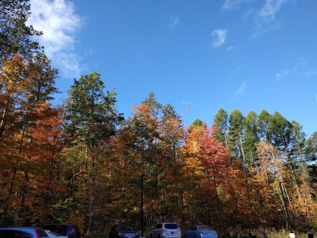 Bill Fisch Forest Stewardship and Education Centre | 16389 ON-48, Whitchurch-Stouffville, ON L4A 7X4, Canada | Phone: (877) 464-9675