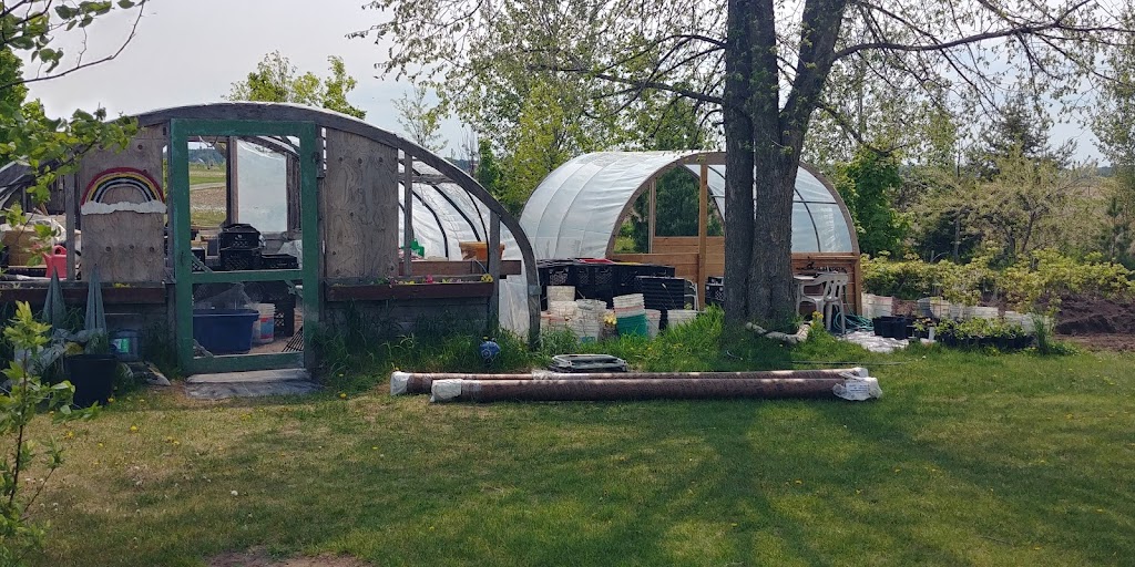 Verger à noix Lapointe / Pépinière | 20600 Ch Forest, Bécancour, QC G9H 1P9, Canada | Phone: (819) 995-4440