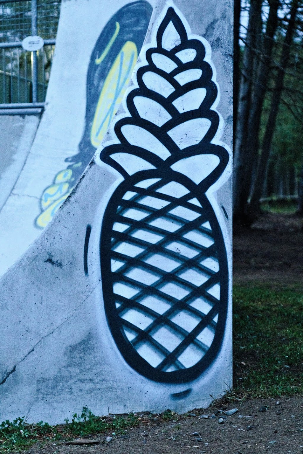 Skateboard park | 604 Rue des Passe Temps, Mont-Tremblant, QC J8E 2T8, Canada | Phone: (819) 425-8614 ext. 2500