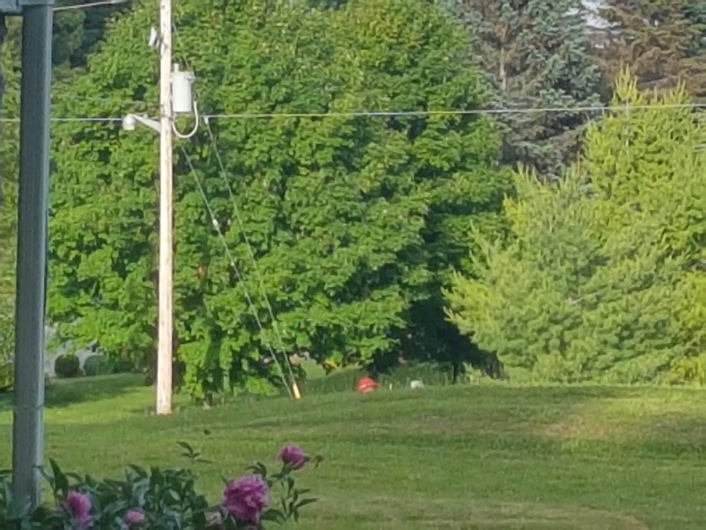 Meadow Springs Lodge | Fire Rte 123 #4, Harvey Township, ON K0M 1A0, Canada | Phone: (705) 731-9132