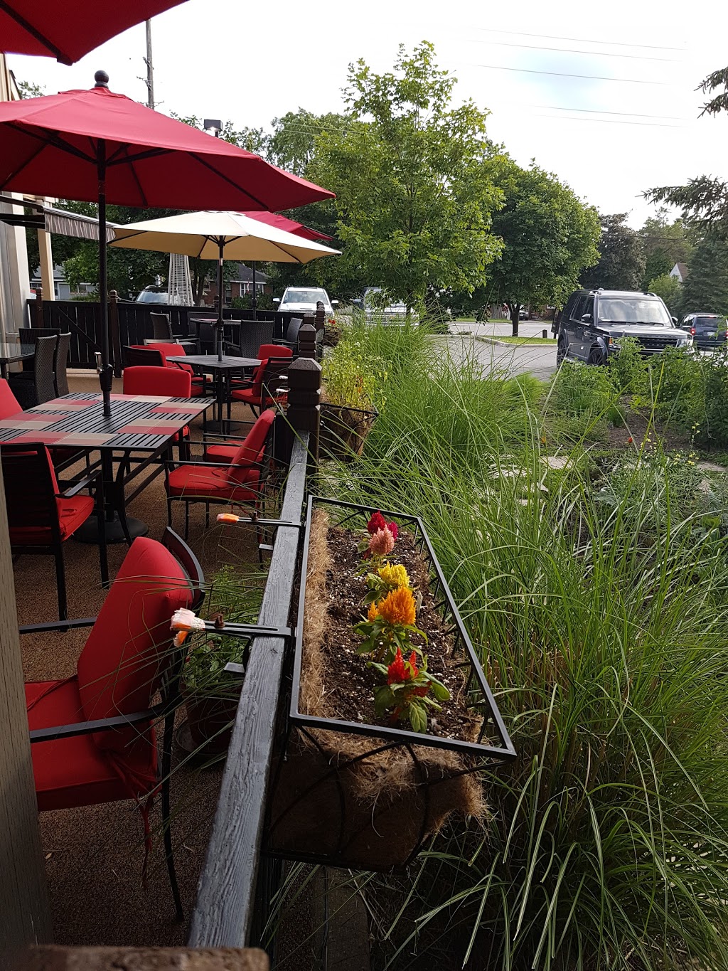 Urban Dish Grill & Wine Bar | 367 Yonge St, Barrie, ON L4N 4C9, Canada | Phone: (705) 797-8909