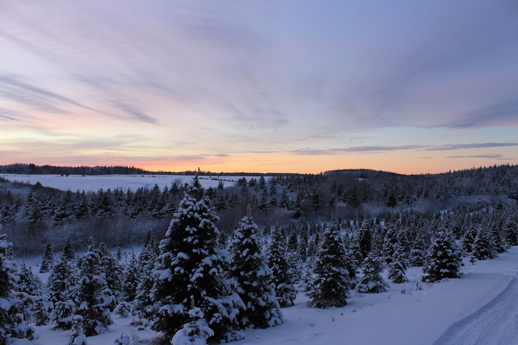 Le Jardin du père Noël | 1976 Rte 515, Sainte-Marie-de-Kent, NB E4S 2C9, Canada | Phone: (506) 955-3152