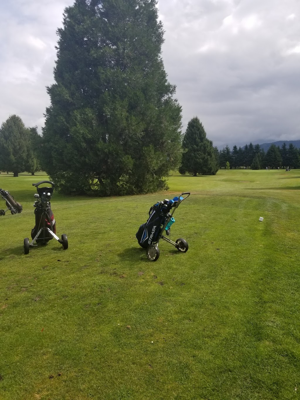 Kinkora Golf Course | 46050 Higginson Rd, Chilliwack, BC V2R 2A9, Canada | Phone: (604) 858-8717