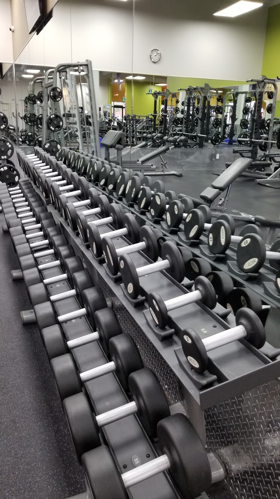 Anytime Fitness | 18 Thompson Rd N, Milton, ON L9T 5N9, Canada | Phone: (289) 429-1112